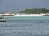 N, Troms, Tromso, Sommaroy 31, Saxifraga-Willem van Kruijsbergen