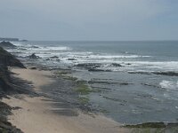 P, Faro, Rogil, Praia da Carriagem 8, Saxifraga-Willem van Kruijsbergen