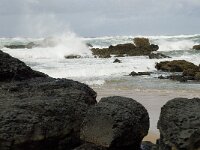 P, Faro, Vila do Bispo, Praia de Castelejo 20, Saxifraga-Willem van Kruijsbergen