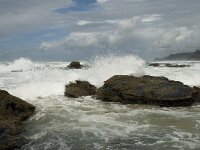 P, Faro, Vila do Bispo, Praia de Castelejo 37, Saxifraga-Willem van Kruijsbergen