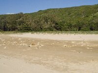 P, Faro, Vila do Bispo, Praia do Zavial 23, Saxifraga-Willem van Kruijsbergen