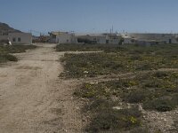 E, Almeria, Nijar, Cabo de Gata 18, Saxifraga-Jan van der Straaten