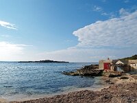 E, Mallorca, Ses Salines, Colonia de Sant Jordi 4, Saxifraga-Hans Dekker