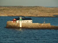 S, Vastergotland, Goteborg 10, Saxifraga-Willem van Kruijsbergen