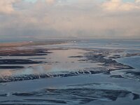 NL, Friesland, Vlieland, Vliehors 101, Saxifraga-Foto Fitis-Sytske Dijksen