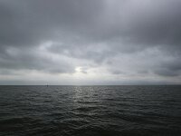 NL, Friesland, Vlieland, Wadden Sea 5, Saxifraga-Bart Vastenhouw