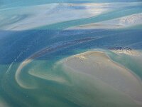 NL, Friesland, Vlieland, Richel 3, Saxifraga-Foto Fitis-Sytske Dijksen