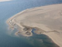 NL, Noord-Holland, Texel, De Hors 173, Saxifraga-Foto Fitis-Sytske Dijksen
