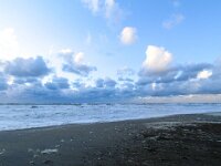 NL, Noord-Holland, Texel, De Koog, Paal 20 1, Saxifraga-Bart Vastenhouw