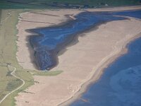 NL, Noord-Holland, Texel, Prins Hendrik polder 4, Saxifraga-Foto Fitis-Sytske Dijksen