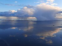 NL, Noord-Holland, Texel, Waddenzee 7, Saxifraga-Foto Fitis-Sytske Dijksen