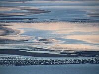 NL, Noord-Holland, Texel 91, Saxifraga-Foto Fitis-Sytske Dijksen