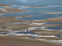 NL, Noord-Holland, Texel 96 Saxifraga-Foto Fitis-Sytske Dijksen