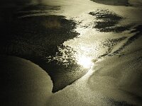 NL, Noord-Holland, Texel 97, Saxifraga-Foto Fitis-Sytske Dijksen