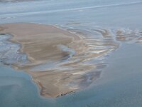 NL, Noord-Holland, Texel, Eierlandse Gat 3, Saxifraga-Foto Fitis-Sytske Dijksen