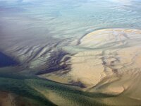 NL, Noord-Holland, Texel, Eierlandse Gat 5, Saxifraga-Foto Fitis-Sytske Dijksen