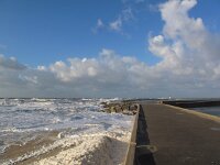 NL, Zuid-Holland, 's-Gravenhage, Zuidhavenhoofd 3, Saxifraga-Bart Vastenhouw