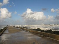 NL, Zuid-Holland, Rotterdam, Hoek van Holland 1, Saxifraga-Harry van Oosterhout