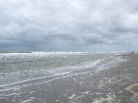 NL, Zuid-Holland, Westland, Monster 16, Saxifraga-Willem van Kruijsbergen