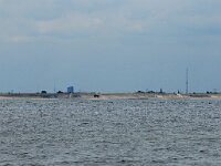 NL, Zuid-Holland, Westland, Monster 2, Saxifraga-Norman Deans van Swelm