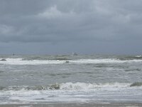 NL, Zuid-Holland, Westland, Monster 20, Saxifraga-Willem van Kruijsbergen