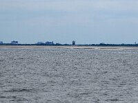 NL, Zuid-Holland, Westland, Monster 3, Saxifraga-Norman Deans van Swelm