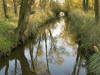 B, Limburg, Neerpelt, Hageven, Dommel 10, Saxifraga-Jan van der Straaten