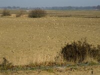 B, Limburg, Peer, Linde, Origin of Dommel 4, Saxifraga-Jan van der Straaten