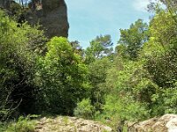 F, Var, Sainte-Maxime, Gorges de Pennafort 2, Saxifraga-Hans Dekker