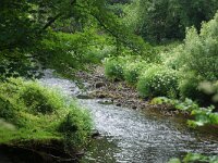 GB, Cornwall, Padstow 5, Saxifraga-Foto Fitis-Sytske Dijksen