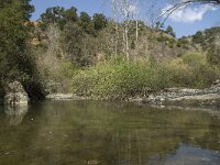 E, Malaga, Algatocin, Rio Seco 2, Saxifraga-Willem van Kruijsbergen