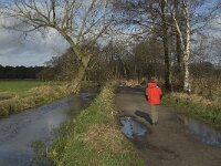 NL, Noord-Brabant, Bergeijk, Beekloop 12, Saxifraga-Marijke Verhagen
