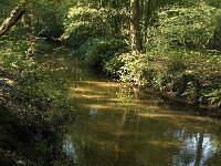 NL, Noord-Brabant, Oirschot, De Baest, Beerze 9, Saxifraga-Jan van der Straaten
