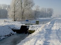 NL, Noord-Brabant, Cranendonck, Buulderbroek, Buulder Aa 9, Saxifraga-Jan van der Straaten