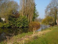 NL, Noord-Brabant, Boxtel 4, Saxifraga-Jan van der Straaten