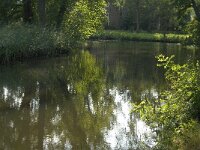 NL, Noord-Brabant, Sint Michielsgestel, Zegenworp 4, Saxifraga-Jan van der Straaten