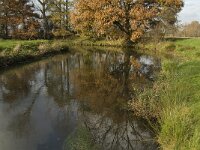 NL, Noord-Brabant, Sint-Oedenrode, Nijnsel, Dommel 3, Saxifraga-Jan van der Straaten