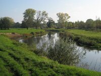 NL, Noord-Brabant, Sint-Oedenrode, Nijnsel, Dommelbeemden 8, Saxifraga-Henk Sierdsema