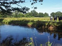 NL, Noord-Brabant, Valkenswaard, Dommel in De Malpie 18, Saxifraga-Tom Heijnen