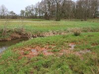 NL, Drenthe, Aa en Hunze, Drentsche Aa 4, Saxifraga-Hans Boll