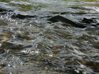 NL, Limburg, Gulpen-Wittem, Geul bij Mechelen 2, Saxifraga-Foto Fitis-Sytske Dijksen