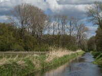 NL, Noord-Brabant, Tilburg, Nieuwe Tiend 30, Saxifraga-Marijke Verhagen