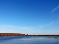 NL, Drenthe, Meppel, Reest 3, Saxifraga-Hans Dekker