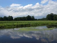 NL, Overijssel, Hof van Twente, Regge bij Kolhoop 4, Saxifraga-Foto Fitis-Sytske Dijksen