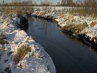 NL, Noord-Brabant, Boxtel, Smalwater 12, Saxifraga-Jan van der Straaten