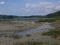 AL, Shkoder, Shkoder 46, Saxifraga-Hans Boll