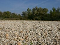 F, Allier, Agonges, Allier 6, Saxifraga-Dirk Hilbers