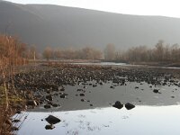 GR, Xanthi, Xanthi, Livaditis 21, Saxifraga-Dirk Hilbers