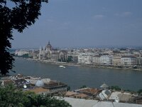 H, Budapest 2, Saxifraga-Jan van der Straaten