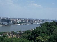 H, Budapest 3, Saxifraga-Jan van der Straaten